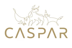 Caspar Swiss Quality Hotel
